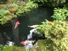 明通寺の庭園