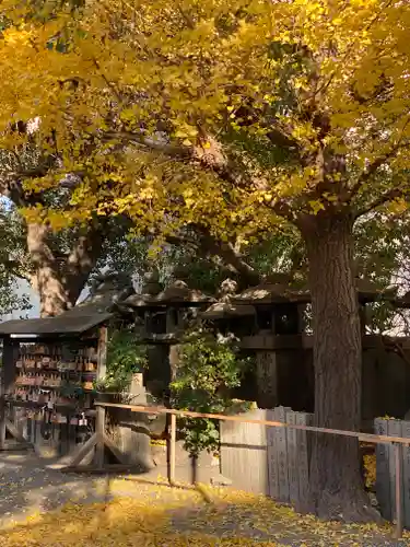 廣田神社の自然