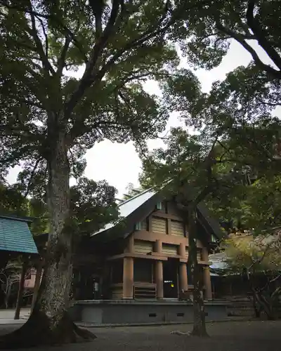 安房神社(千葉県)