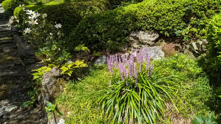 善峯寺(京都府)