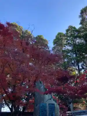酬恩庵一休寺(京都府)