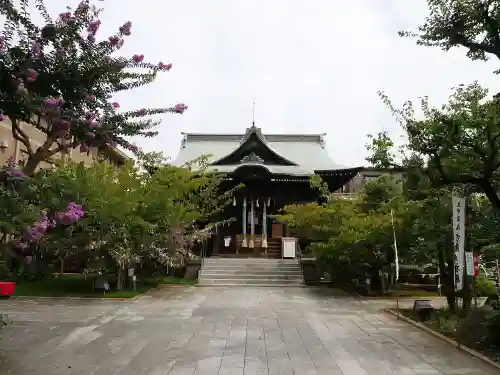 桜神宮の本殿・本堂