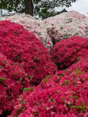 根津神社(東京都)