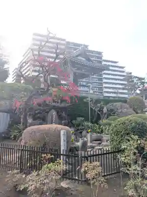 東福寺(東京都)