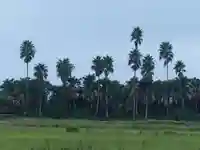 六所神社(千葉県)