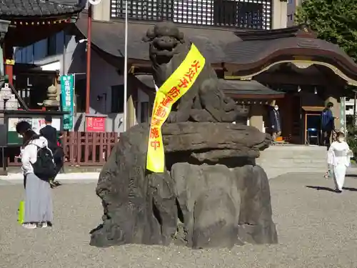 浅草神社の狛犬