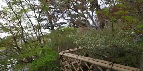 出雲大神宮の庭園