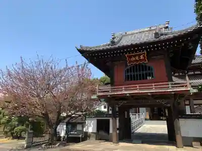 大應寺(埼玉県)