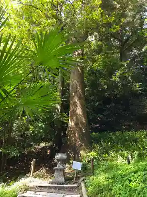 八幡神社(静岡県)