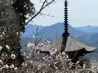 国宝 大法寺のその他建物