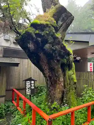 箱根神社(神奈川県)