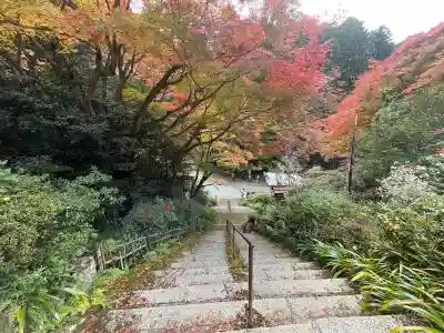 日向大神宮(京都府)