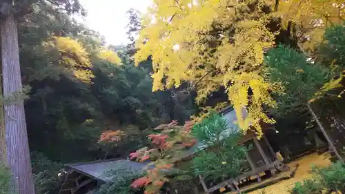 岩戸落葉神社の庭園