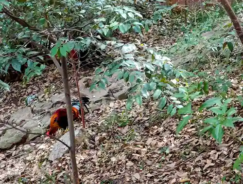 大甕神社(茨城県)