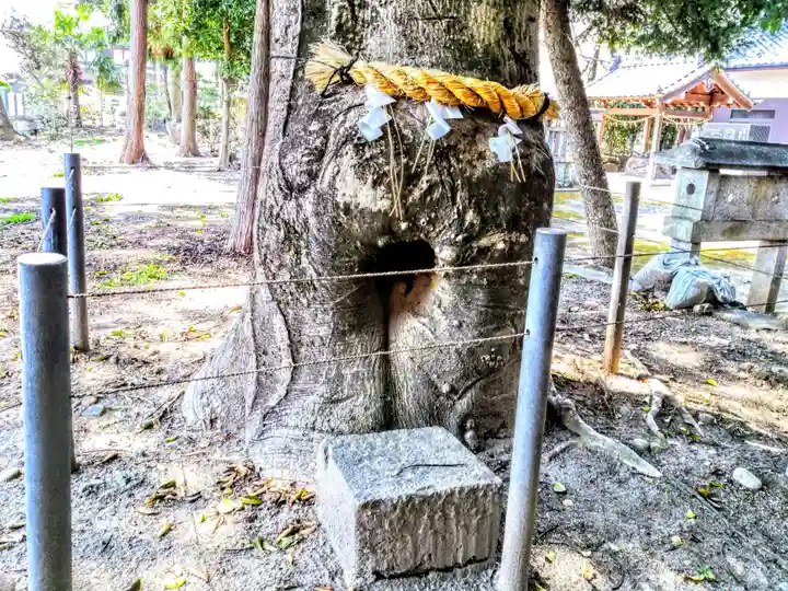 諏訪神社のその他建物