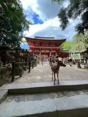 春日大社(奈良県)