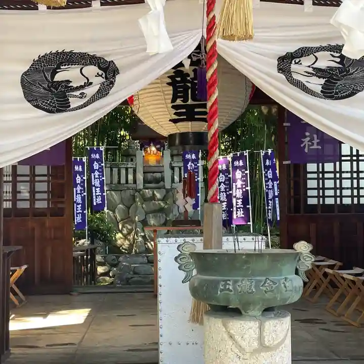 白金龍王社(愛知県)