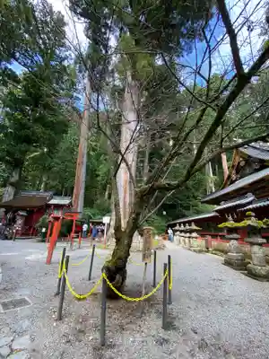 日光二荒山神社(栃木県)