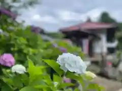 長念寺(埼玉県)