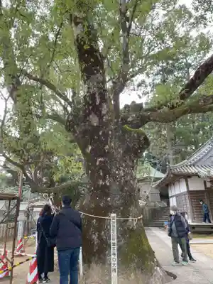 薬王寺(徳島県)