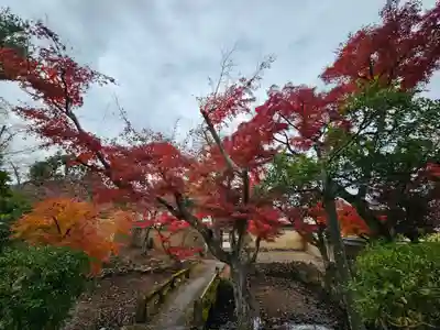 新薬師寺の自然
