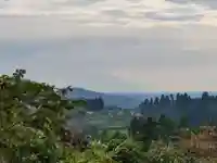 霧島神宮(鹿児島県)