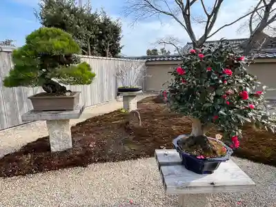 芳春院(京都府)