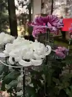 大宮温泉神社(栃木県)