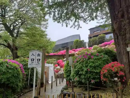 根津神社の庭園