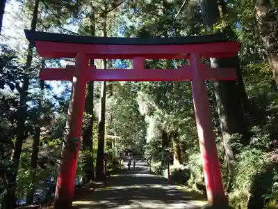箱根神社の鳥居