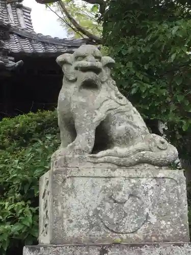 八坂大神の狛犬