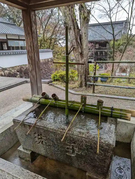 善峯寺(京都府)