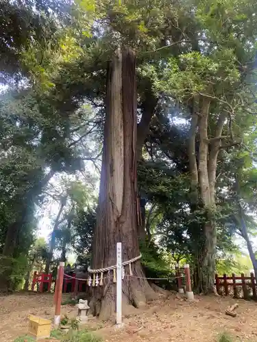 麻賀多神社奥宮(千葉県)