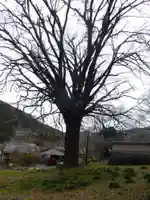 明楽寺(山口県)