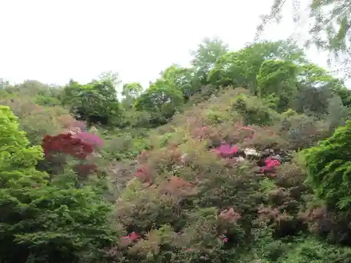 法性寺の景色