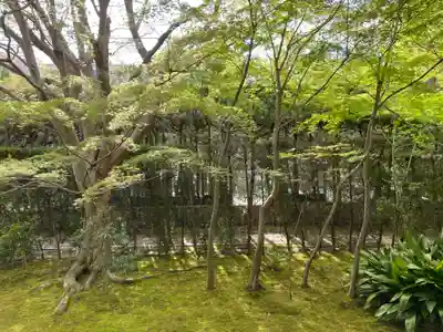 源光庵(京都府)