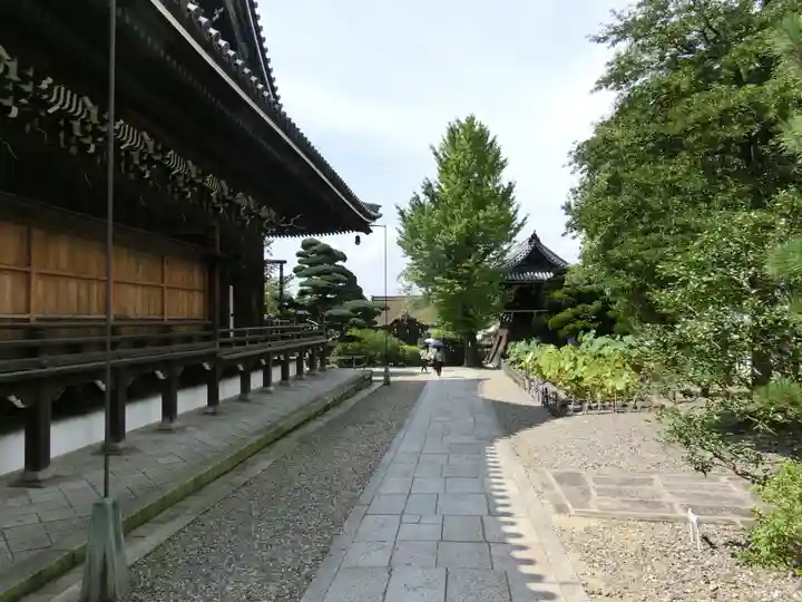 大谷本廟の庭園