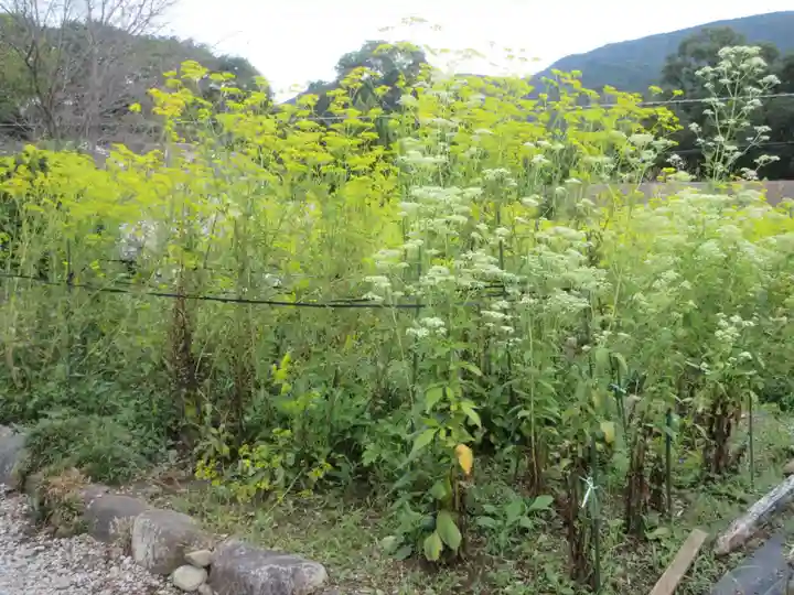 真性寺(埼玉県)