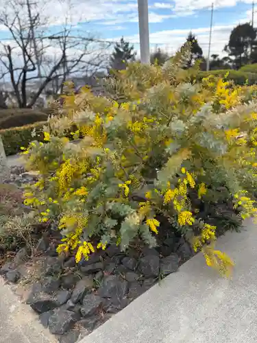 遍照寺(兵庫県)