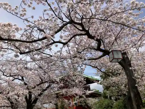孝道山の{uncategorized: "未分類", other: "その他", undefined: "問題あり", building: "その他建物", grave: "お墓", sacred_gate: "鳥居", guardian: "狛犬", statue: "像", buddha: "仏像", history: "歴史", nature: "自然", garden: "庭園", animal: "動物", pagoda: "塔", temizu: "手水舎", mountain_gate: "山門・神門", sanctuary: "本殿・本堂", subordinate: "末社・摂社", art: "芸術", scenery: "景色", jizo: "地蔵", ema: "絵馬", goshuin: "御朱印", omikuji: "おみくじ", items: "授与品その他", amulet: "お守り", goshuincho: "御朱印帳", eats: "食事", festival: "お祭り", votive_dance: "神楽", shichigosan: "七五三参", wedding: "結婚式", experience: "体験その他", initially: "初詣", around: "周辺", anti_infection: "感染症対策"}