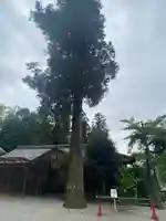 日置神社(三重県)