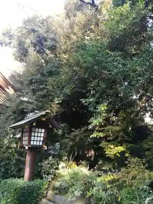 東京大神宮のその他建物