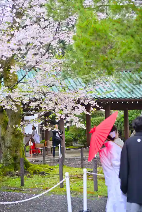 三嶋大社(静岡県)