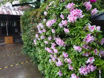 染井稲荷神社(東京都)