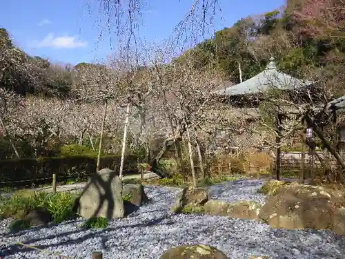 瑞泉寺の庭園