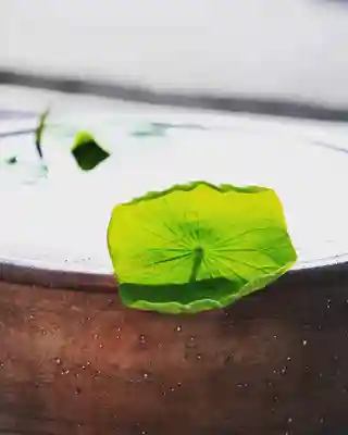 浄土寺(兵庫県)