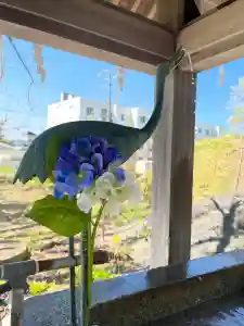 釧路一之宮 厳島神社(北海道)(2025年06月06日(金) 08時44分52秒投稿)