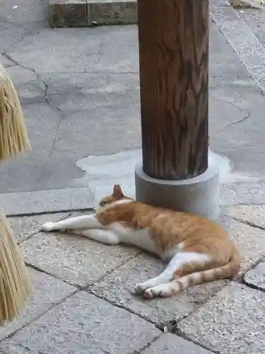 上宮天満宮の動物
