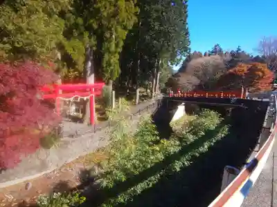 須山浅間神社(静岡県)