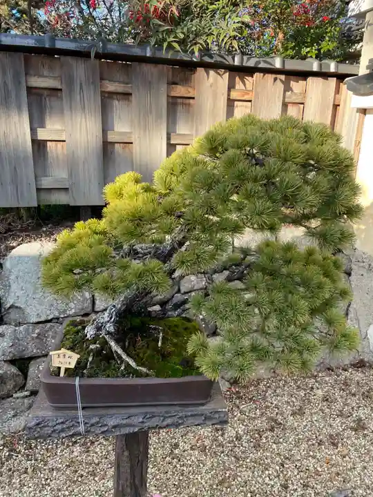 龍泉庵(京都府)